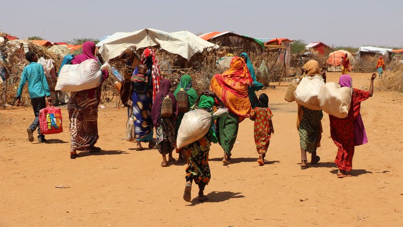 Longer term development in crises at the nexus: Somalia - Development ...