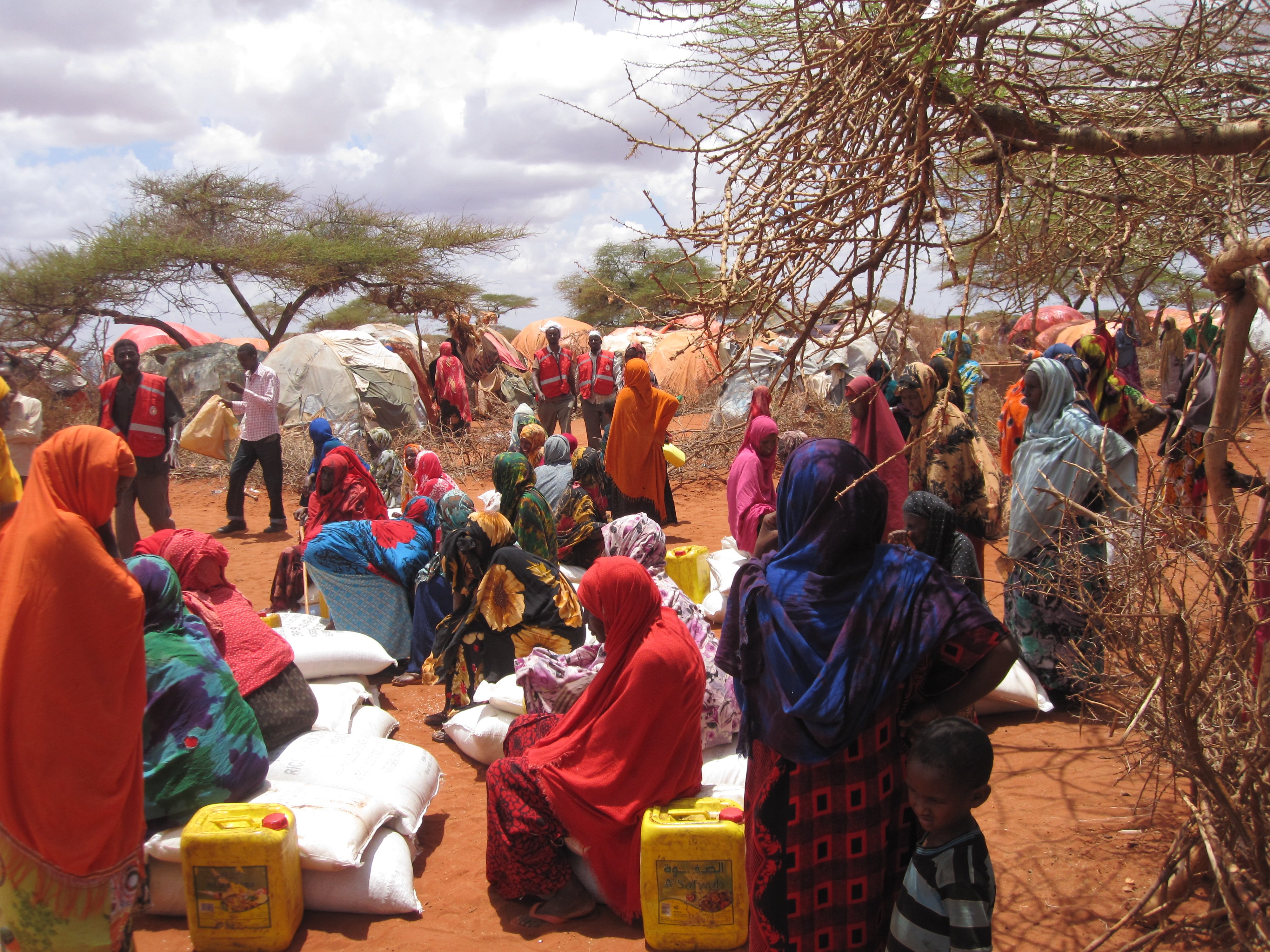 Somalia an overview of poverty, vulnerability and financing Development Initiatives