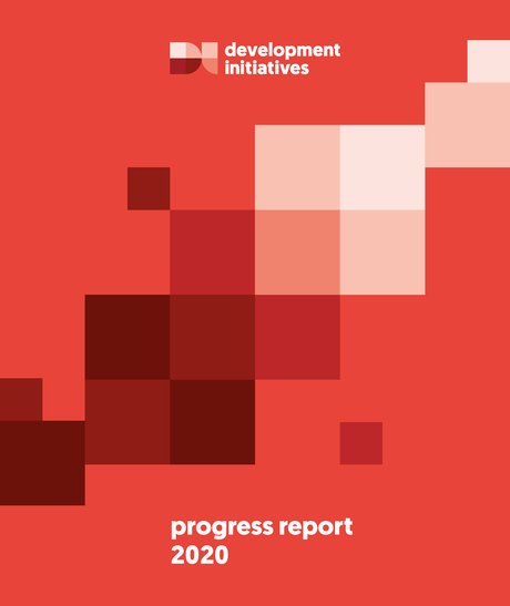 DI Progress Report 2020