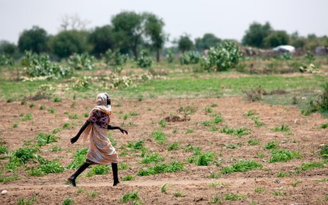Farming during the rainy season in Gereida (South Darfur) 2012.jpg
