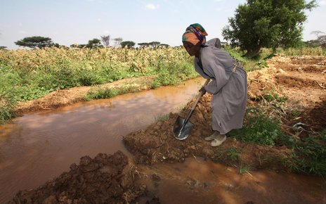 New irrigation scheme in arid and dry region of Isiolo in Kenya 2013.jpg